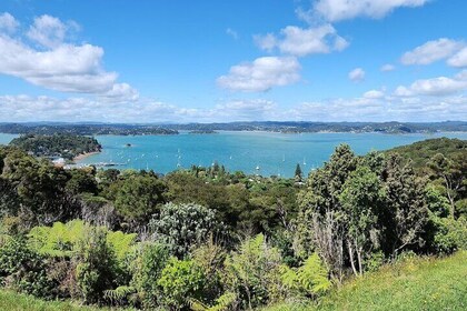 Bay of Islands Scenic Tour