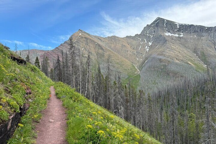 Waterton Upper Rowe Lakes Hike