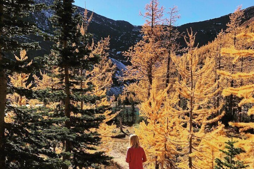 Waterton Upper Rowe Lakes Hike