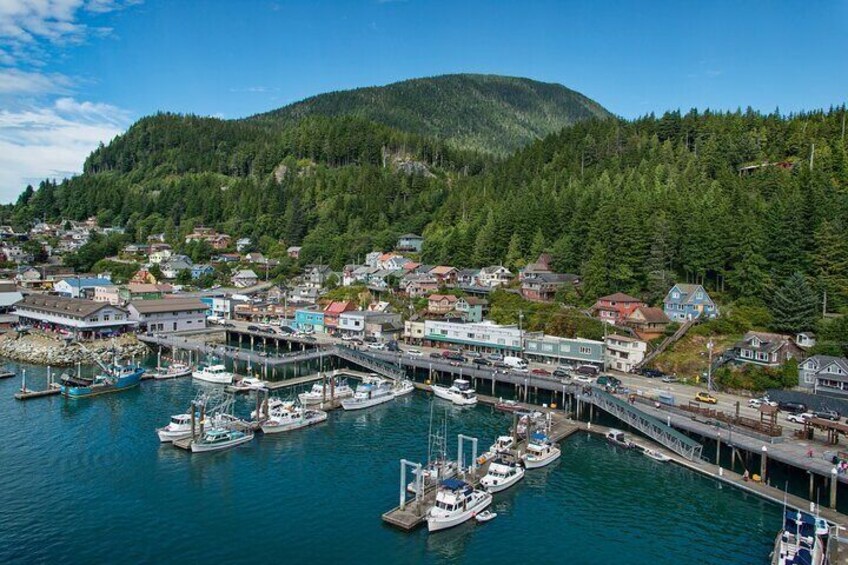 Private Tour Ketchikan City Totems & Wildlife