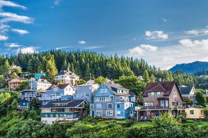 Private Tour Ketchikan City Totems & Wildlife