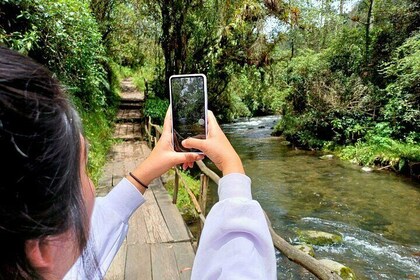 Quito Waterfalls Private Tour
