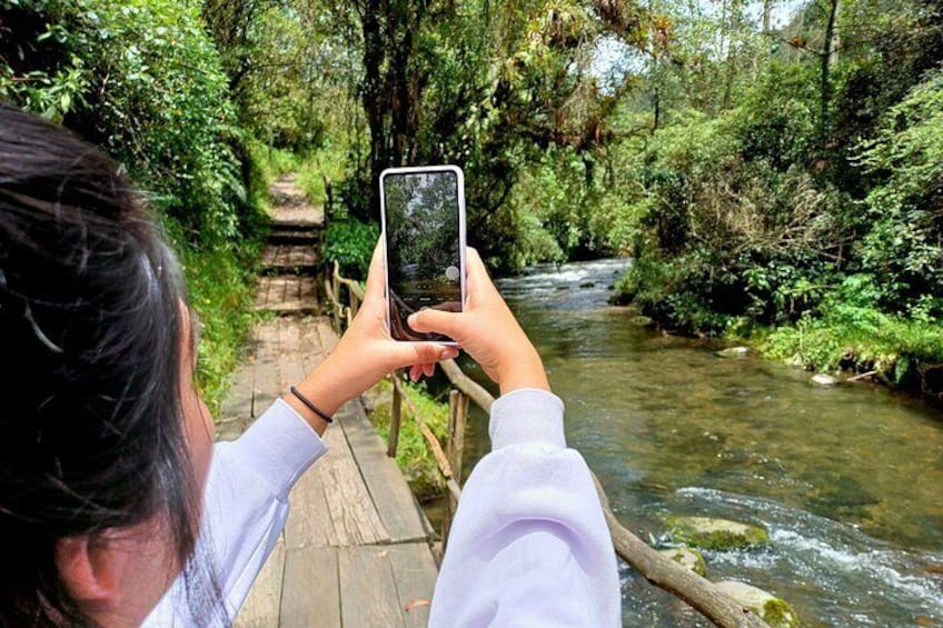 A nature trail perfect place to take photos