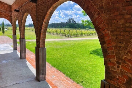 Private Tour of Different Wineries in Montevideo