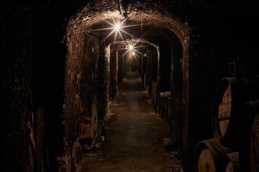 With over 3 km of cellars, there is plenty to explore