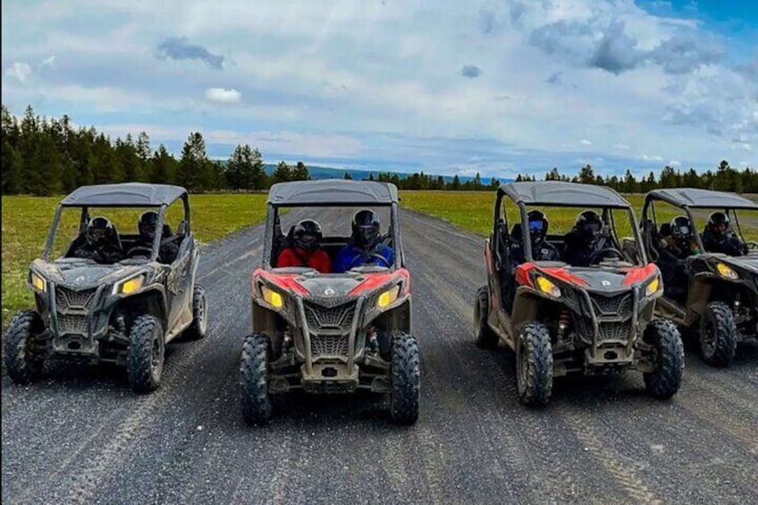 Trail views in the two seaters.