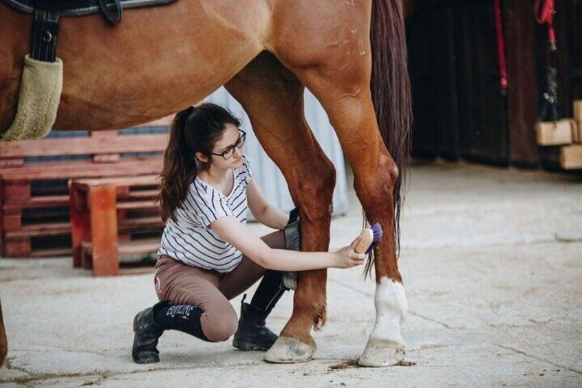 Split: Horse Riding Dalmatia Tour w/ Aperitif and Polaroid Photos