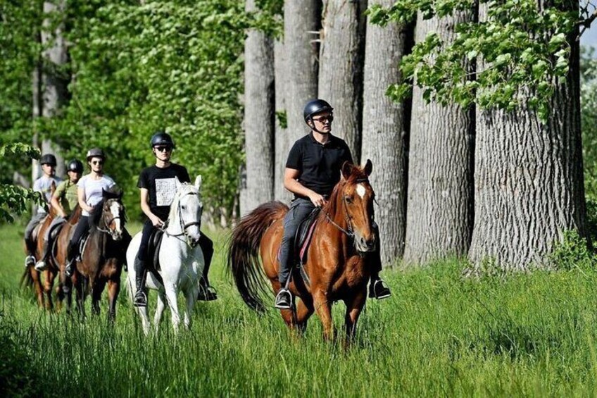 Split: Horse Riding Dalmatia Tour w/ Aperitif and Polaroid Photos