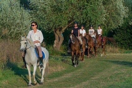 Split: Horse Riding Dalmatia Tour w/ Aperitif and Polaroid Photos