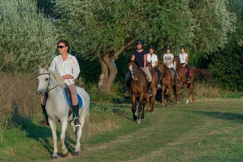 Split: Horse Riding Dalmatia Tour w/ Aperitif and Polaroid Photos