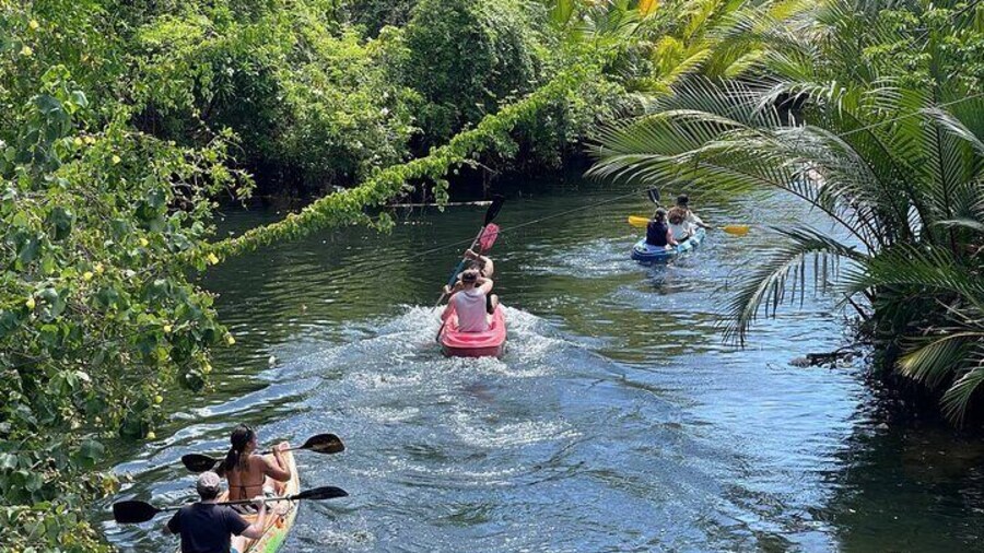 Sunset Scenic Kayaking and Swimming Activity
