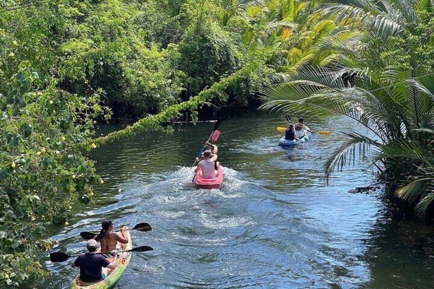 Sunset Scenic Kayaking and Swimming Activity