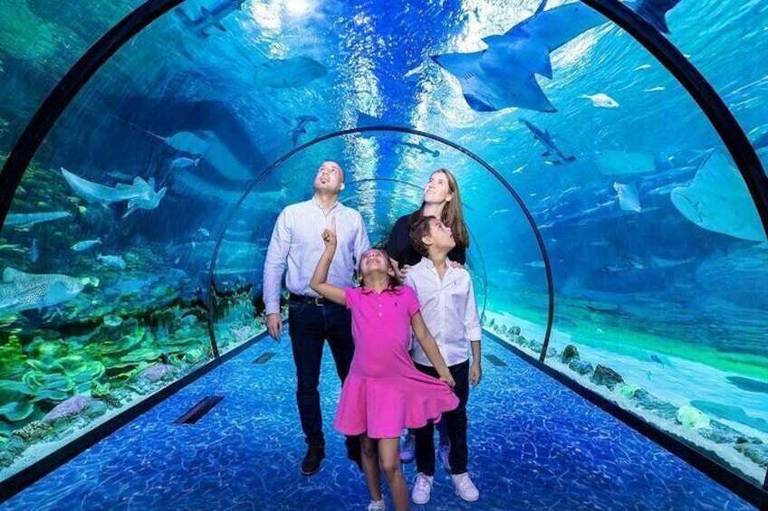 Tickets to The National Aquarium Abu Dhabi