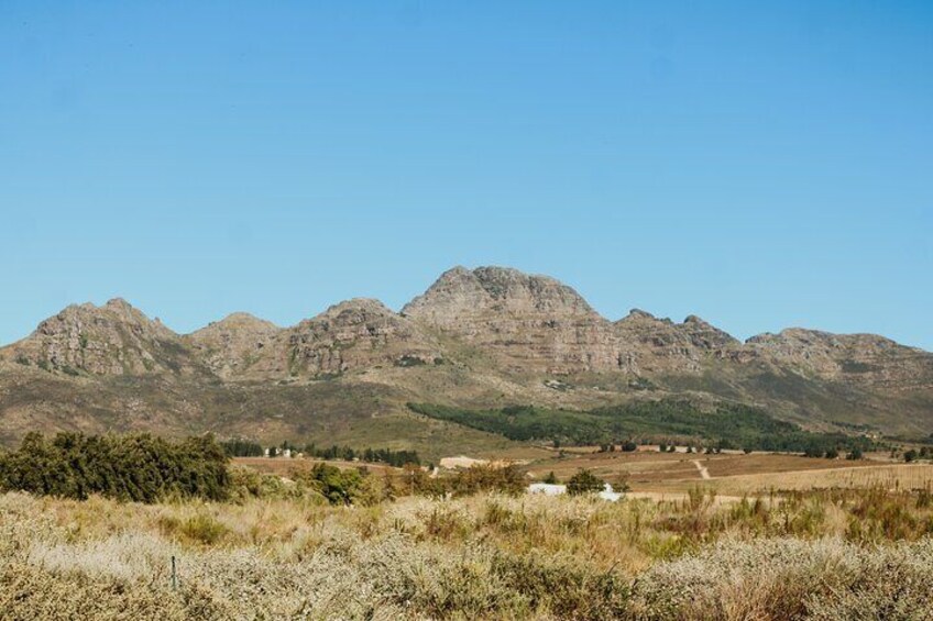 Stunning Stellenbosch mountain views.