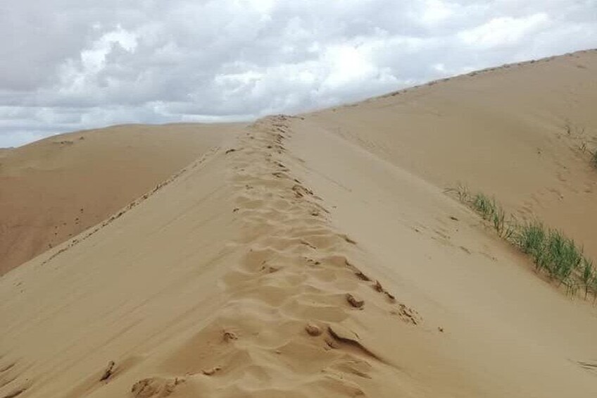 Day Trip To Semi Gobi with Lunch at Nomadic Family