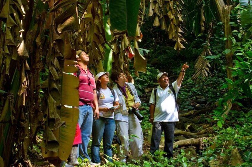 Shared Tour in Mombacho Natural Reserve and Canopy Adventures