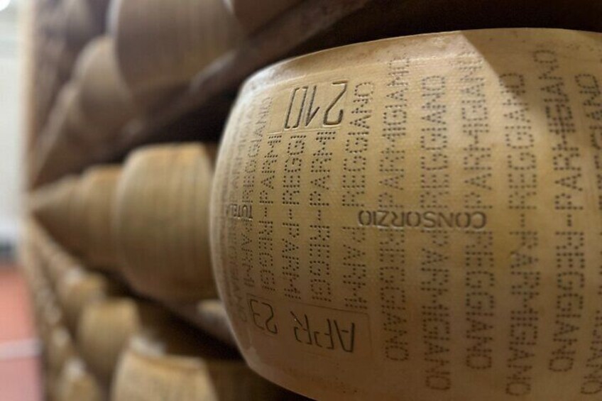 Visiting the Parmigiano Reggiano diary farm