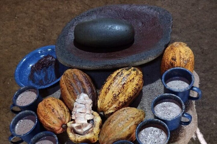 learn all about the chocolate, from taking the fruit from the tree until make in to a hot drink, the traditional way