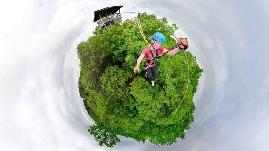 Minnesota River Valley 14-Line Thrilling Zipline Canopy Tour