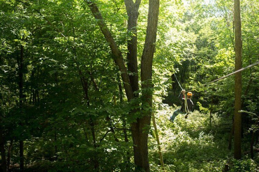 Minnesota River Valley 14-Line Thrilling Zipline Canopy Tour