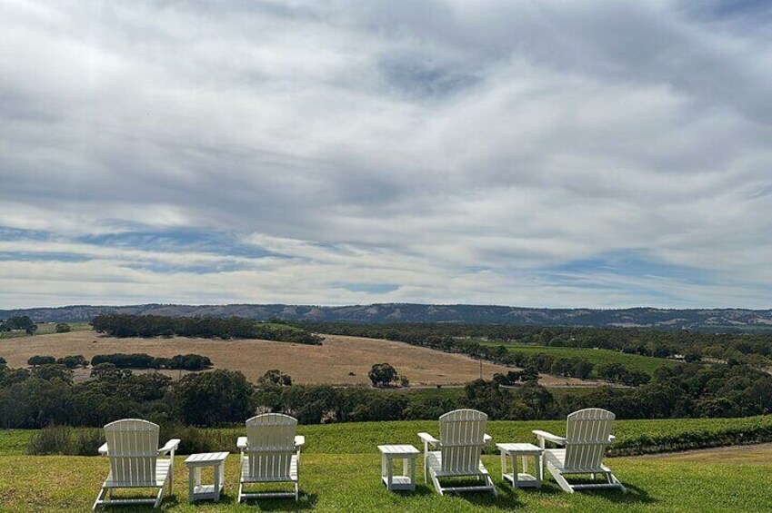 Full Day Wine Tasting Tour in McLaren Vale