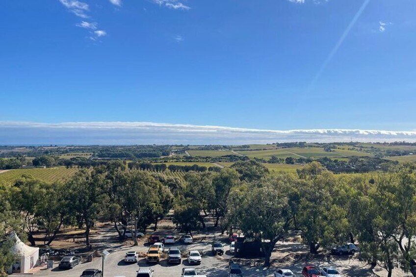 Full Day Wine Tasting Tour in McLaren Vale
