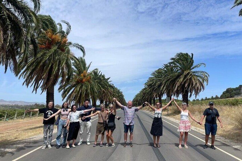 Full Day Wine Tasting Tour in McLaren Vale