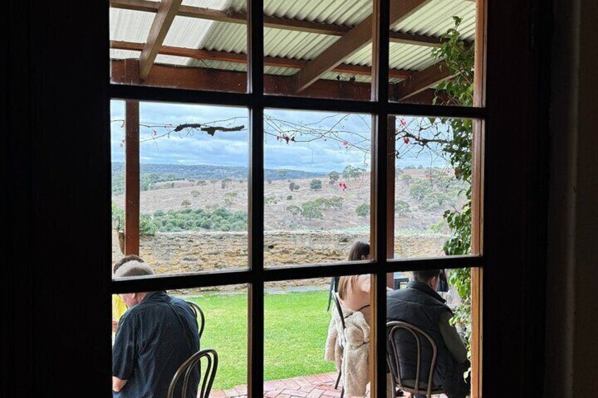 Full Day Wine Tasting Tour in McLaren Vale