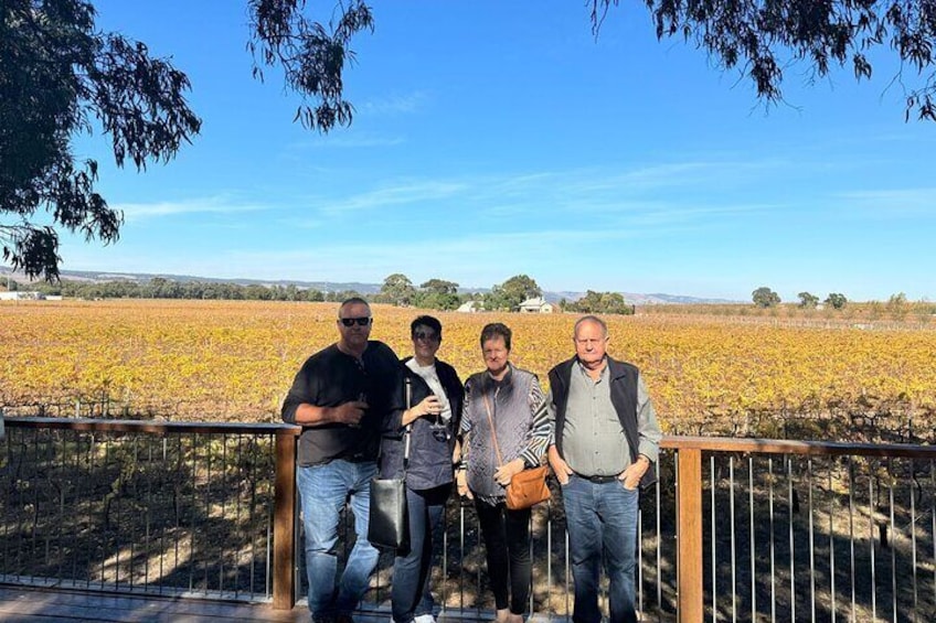 Full Day Wine Tasting Tour in McLaren Vale