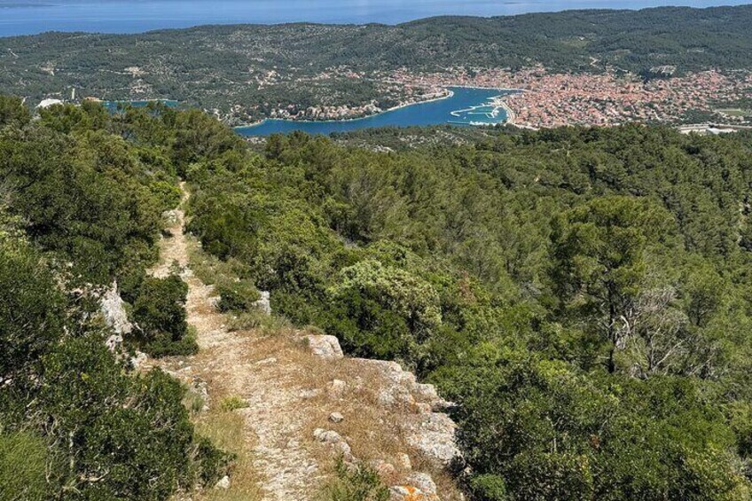 Hum Hill Escape Scenic Hike and Picnic in Vela Luka