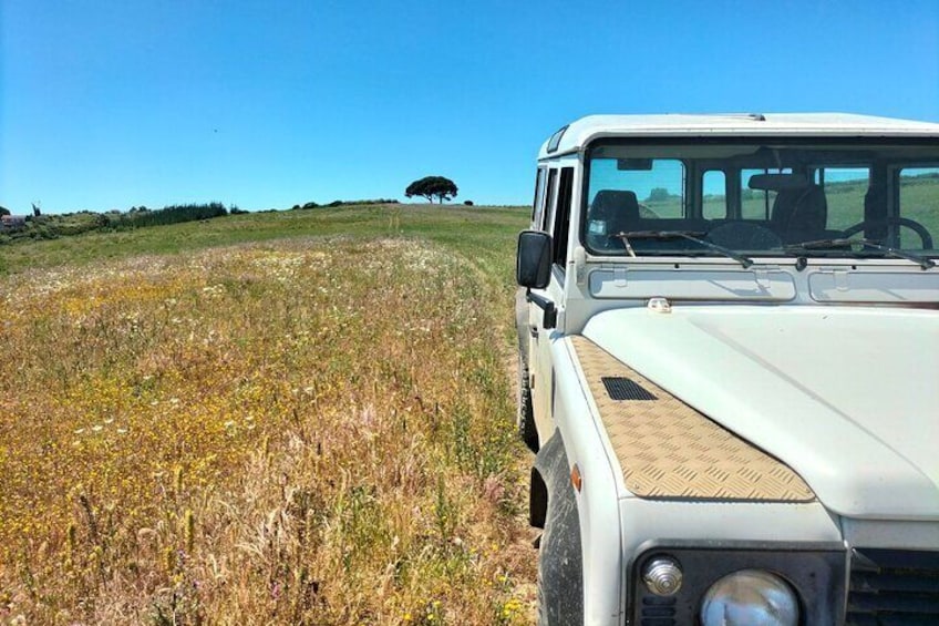 The-Amity-Family-Tours-And-Activities-Lisboa-Portugal-Wine-Tasting-Winery-Vineyard-Landscape-4WD-Fun