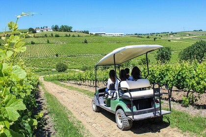 Top Winery Visit with Tastings and 4WD Vineyards Tour from Lisbon