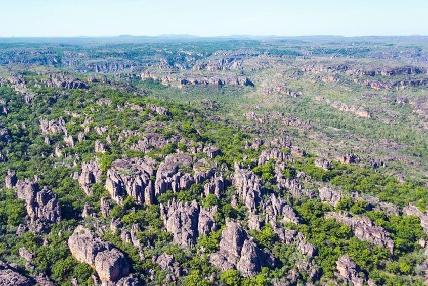 Jabiru 30 minute Scenic Flight