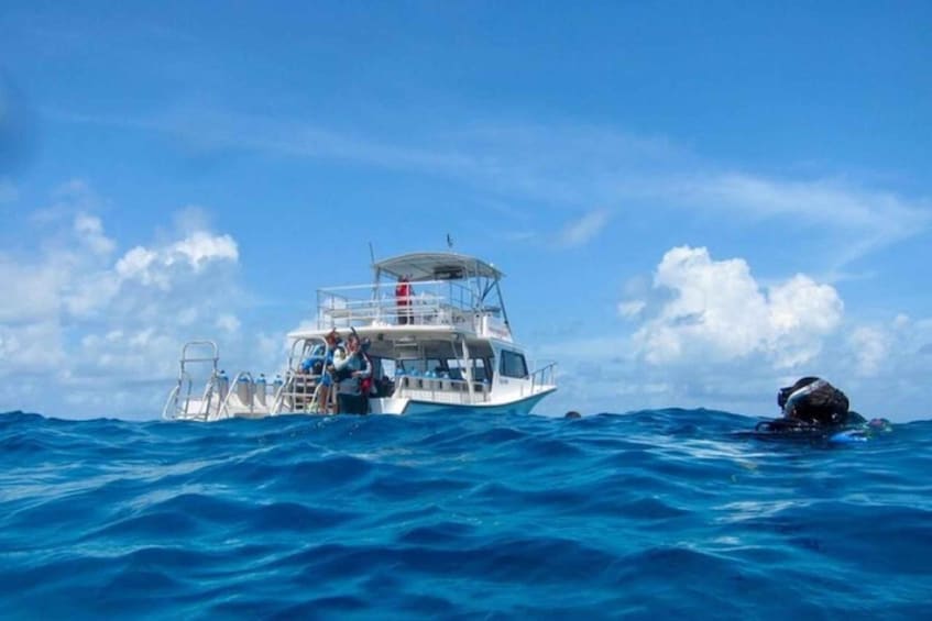 Picture 1 for Activity Placencia: Beginner Scuba Diving with Reef Exploration