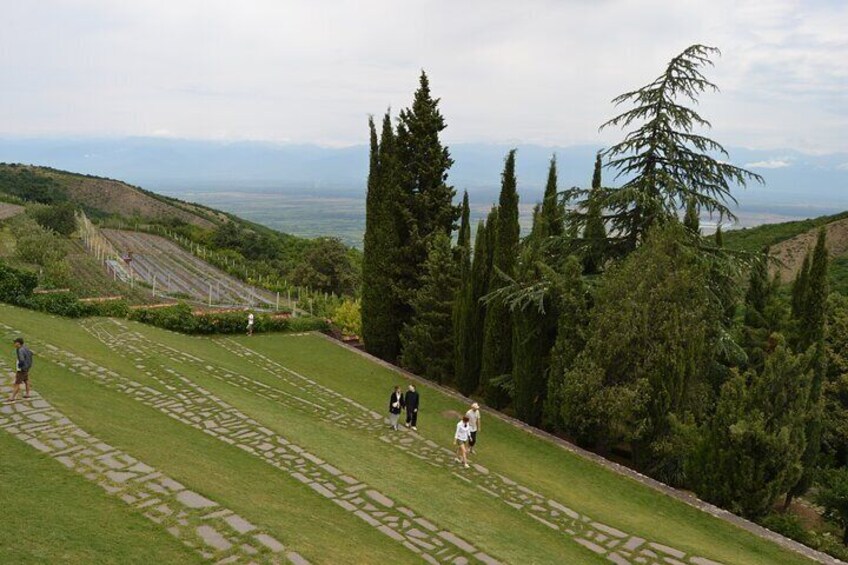 Land of the Sun Full Day Wine and Grapes Tour in Kakheti