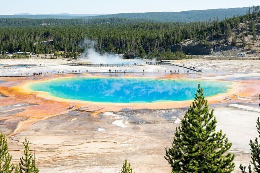 Private Tour Yellowstone CONIC Sites, Wildlife, Friendly Hikes