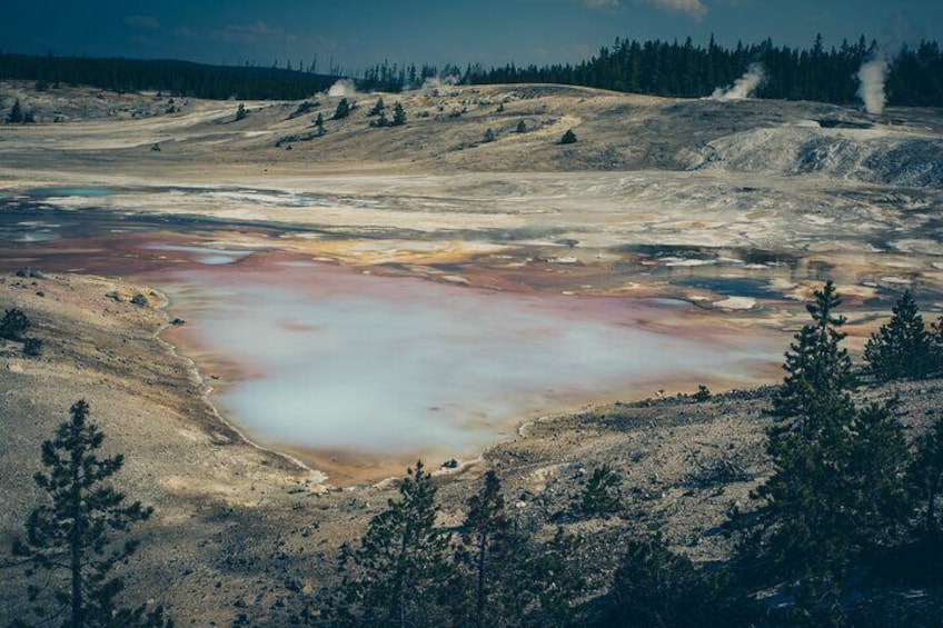 Private Tour Yellowstone CONIC Sites, Wildlife, Friendly Hikes