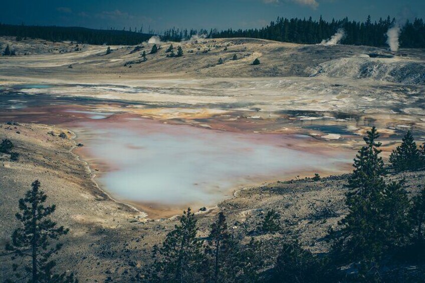 Private Tour Yellowstone CONIC Sites, Wildlife, Friendly Hikes