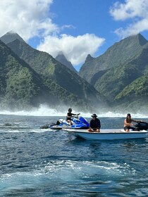Tahiti: Unique Tahiti West Coast Full Day Tour to Teahupoo