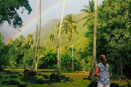 Tahiti: Unique Tahiti West Coast Full Day Tour to Teahupoo