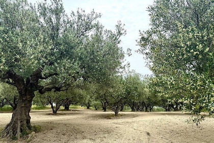 Kretenzische zintuigen: Grot van Melidoni met olijfolie, honing en wijnproe...