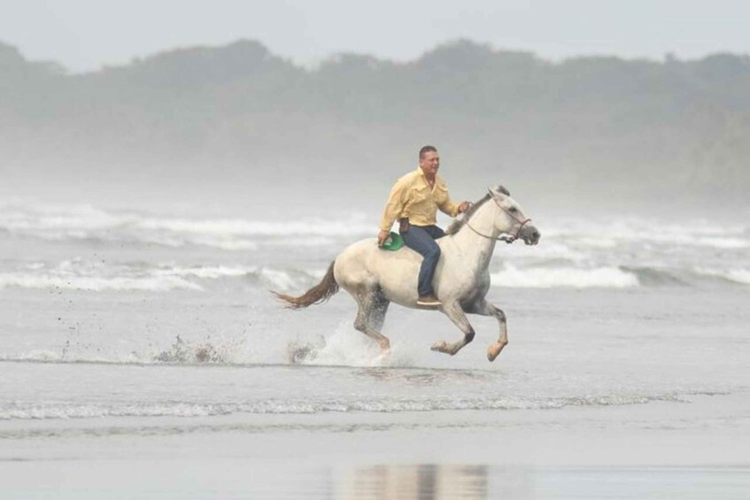 Picture 1 for Activity Esterillos Este: Manuel Antonio Beach Horseback Ride