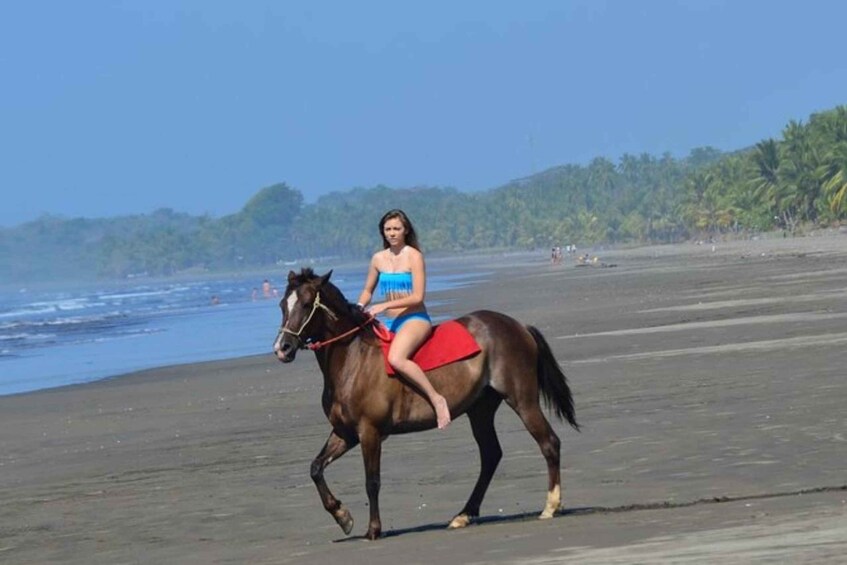 Picture 2 for Activity Esterillos Este: Manuel Antonio Beach Horseback Ride