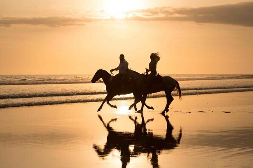 Picture 4 for Activity Esterillos Este: Manuel Antonio Beach Horseback Ride