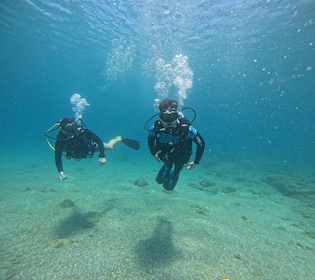 Scuba Diving Experience for Beginners In Greece