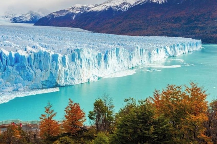 Calafate 4-Day Tour: Glaciers, Optional Premium Navigation & Nature Safari