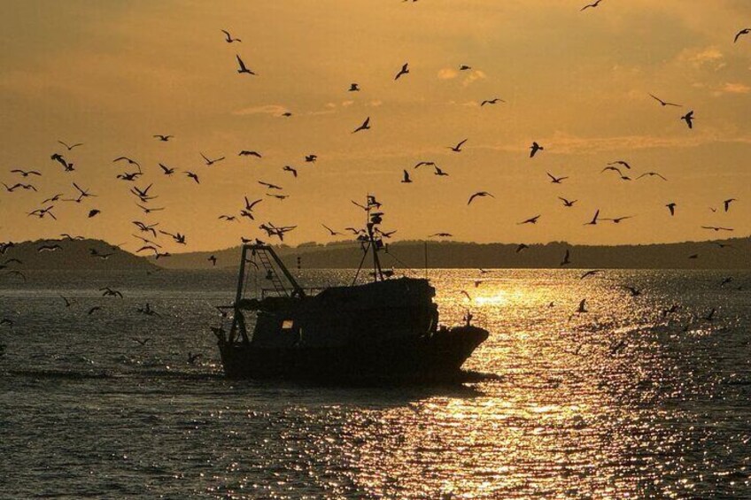 Sunset Hike and Picnic Tour in Vela Luka