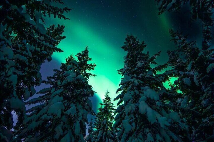 Private Aurora Hunting Adventure Expert Photographer from Alta