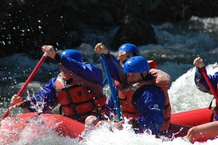 Brown's Canyon Full Day Rafting