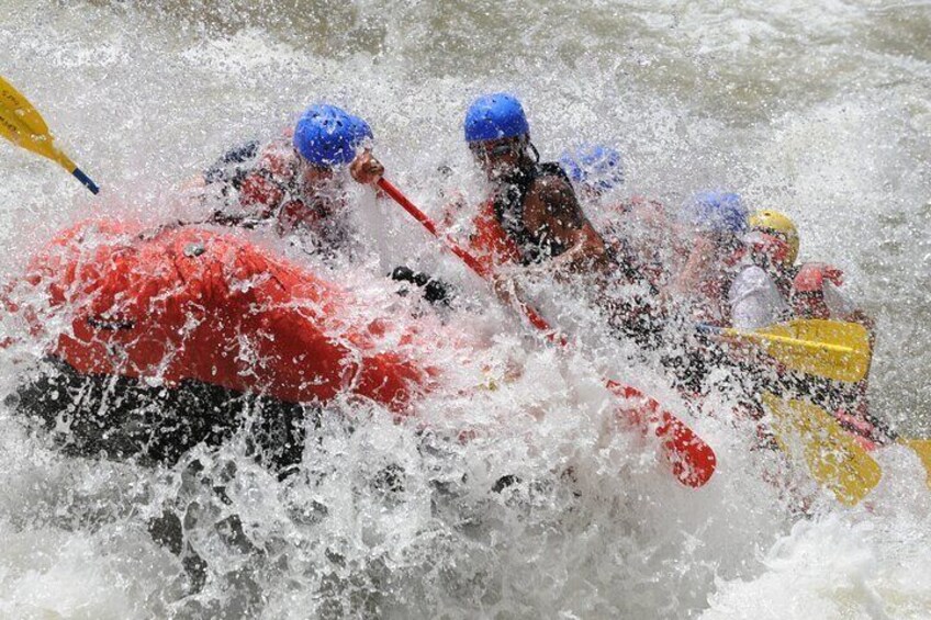 Brown's Canyon Full Day Rafting